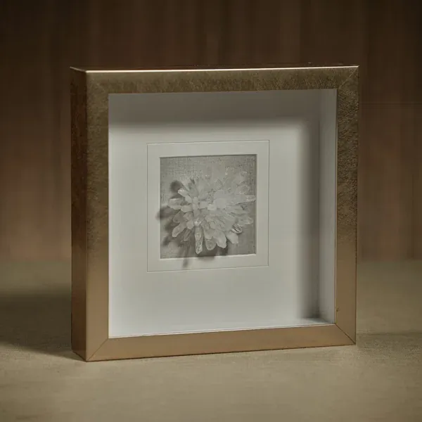 Pressed flower in a deep wooden shadow box frame